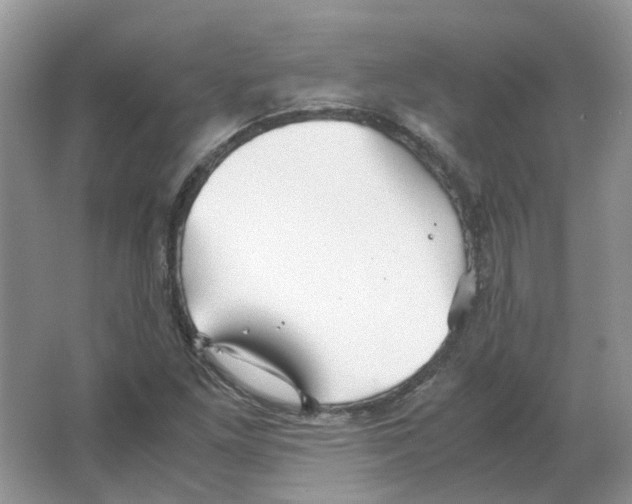 X0000063521261200602172204