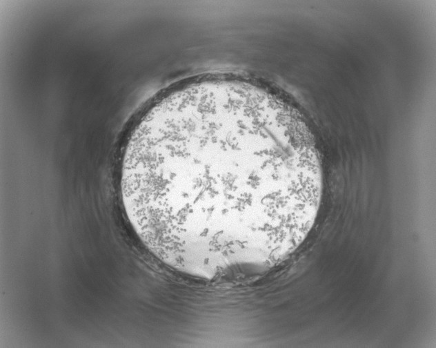 X0000063521263200602172204