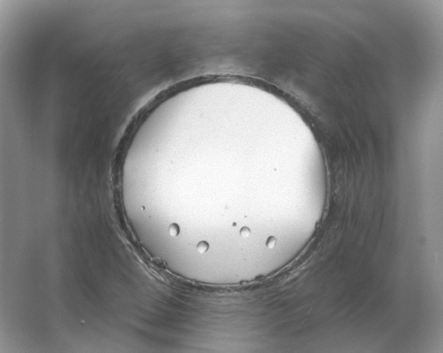 X0000063521264200602172204