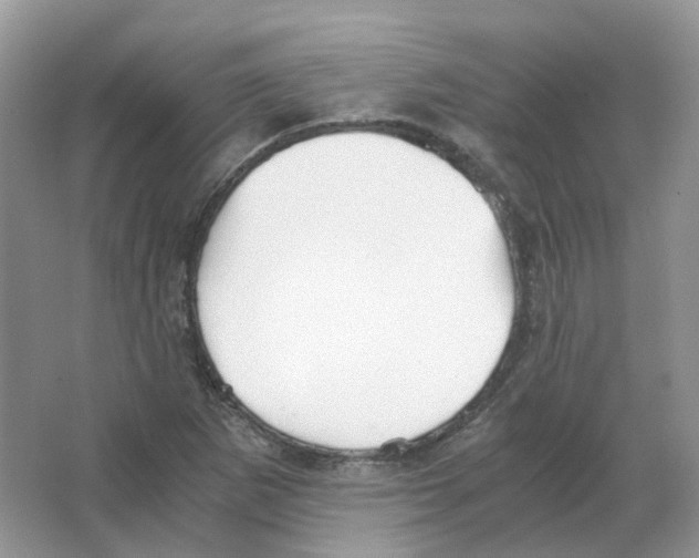 X0000063521265200602172204