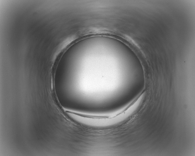 X0000063521269200602172204