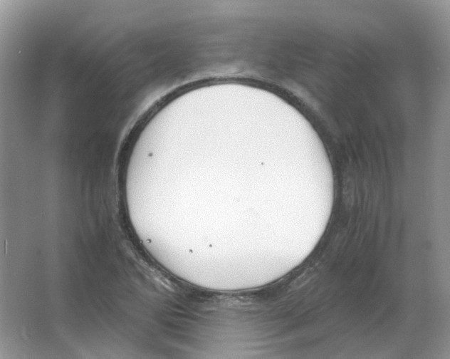 X0000063521270200602172204