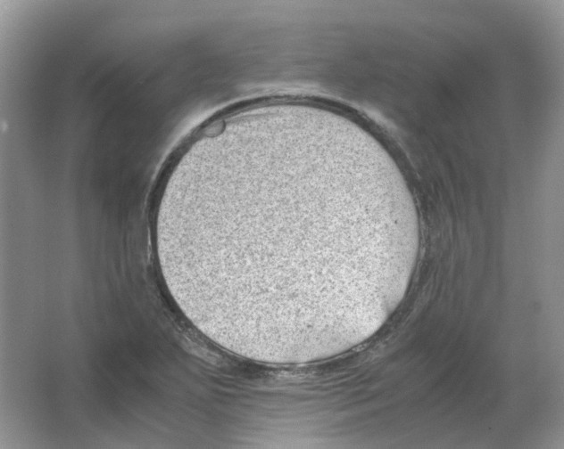 X0000063521271200602172204