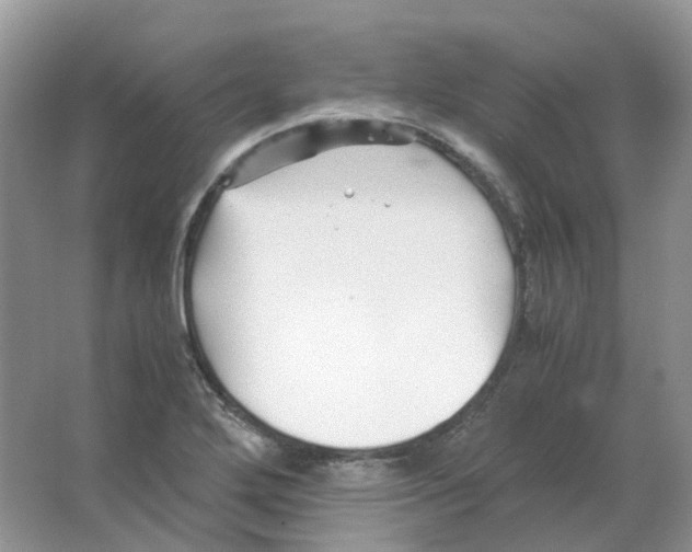 X0000063521272200602172204