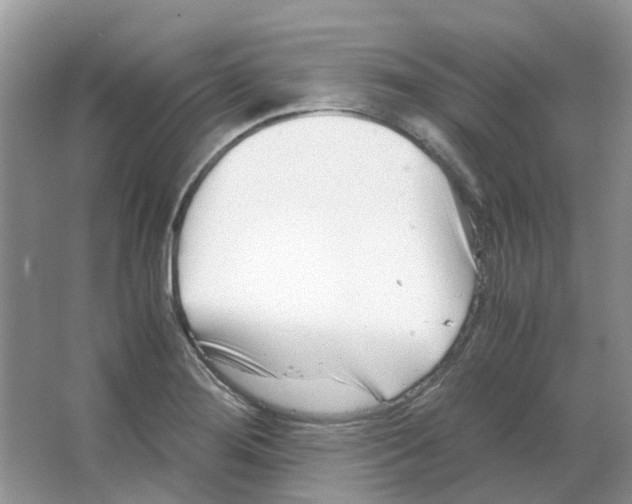 X0000063521276200602172204