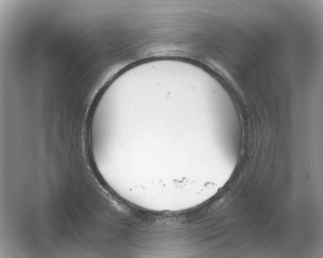 X0000063521277200602172204