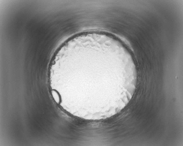 X0000063521279200602172204