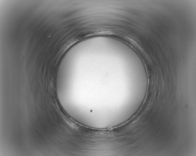 X0000063521281200602172204