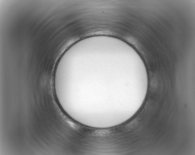 X0000063521282200602172204