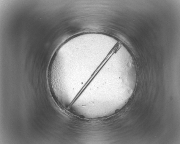 X0000063521283200602172204