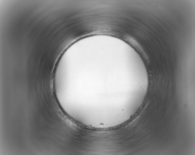 X0000063521284200602172204