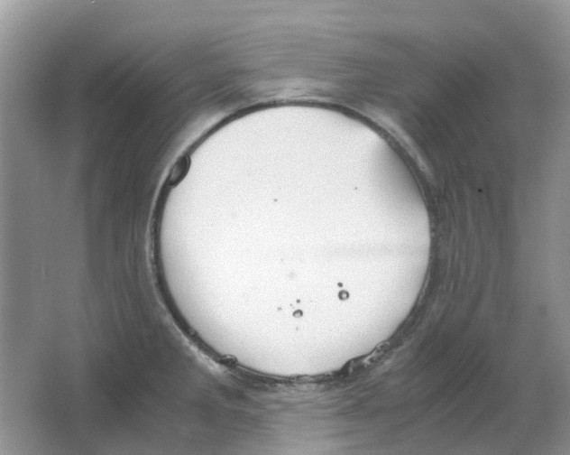 X0000063521285200602172204