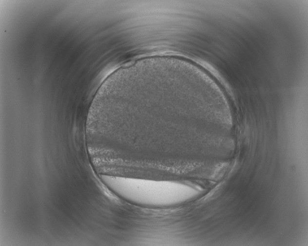 X0000063521289200602172204