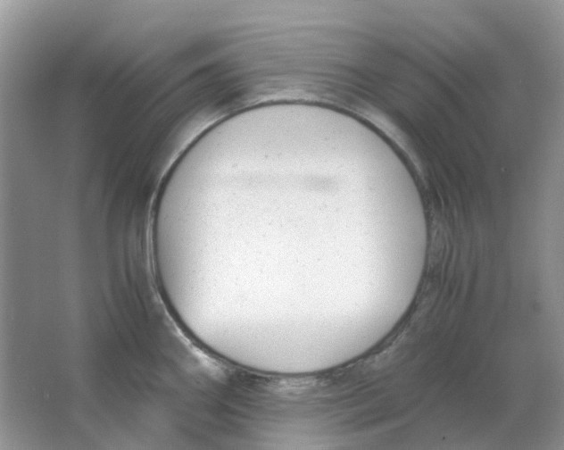 X0000063521290200602172204