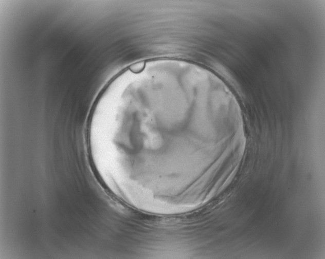 X0000063521291200602172204