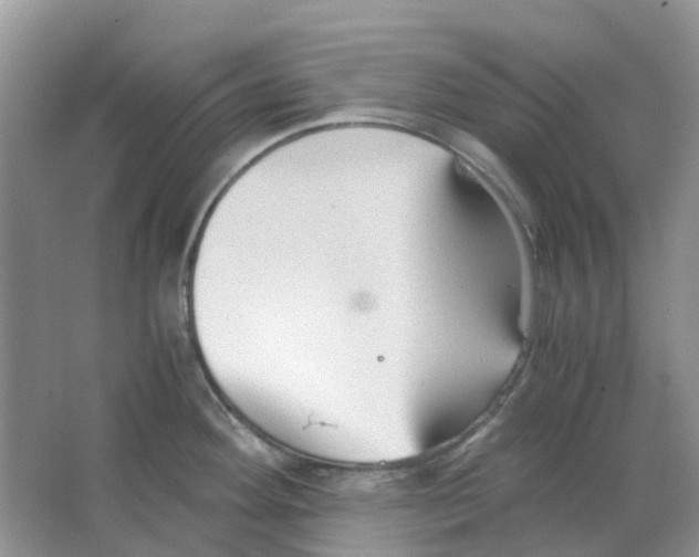 X0000063521292200602172204