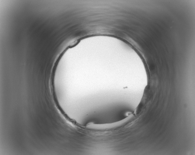 X0000063521293200602172204