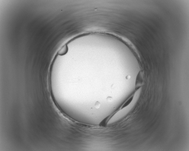 X0000063521295200602172204