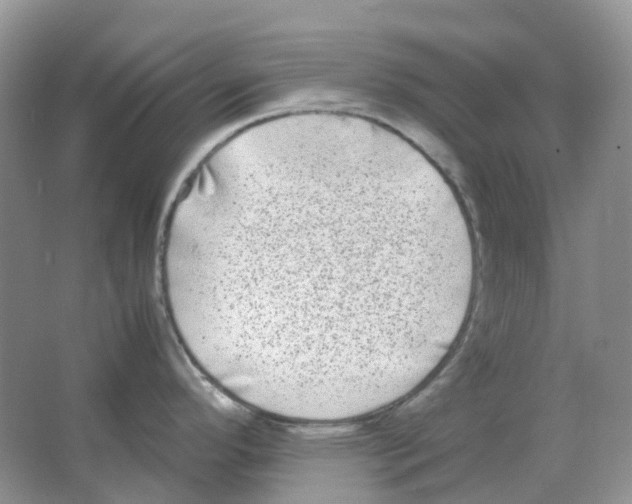 X0000063521296200602172204