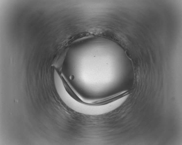 X0000063521298200602172203