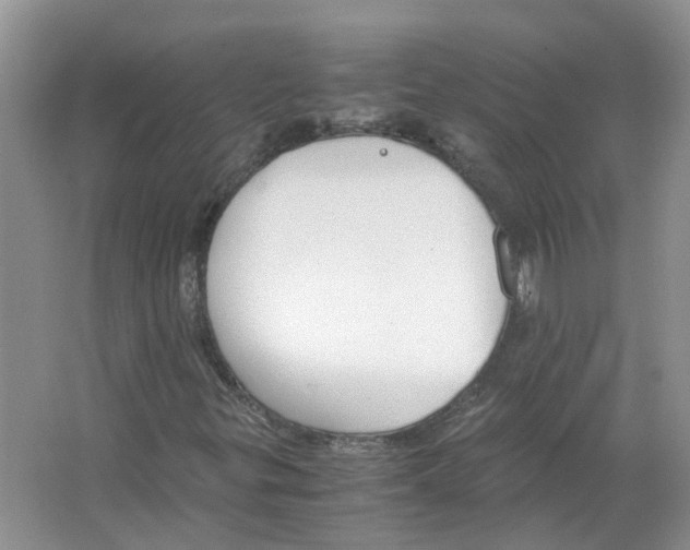 X0000063521299200602172203