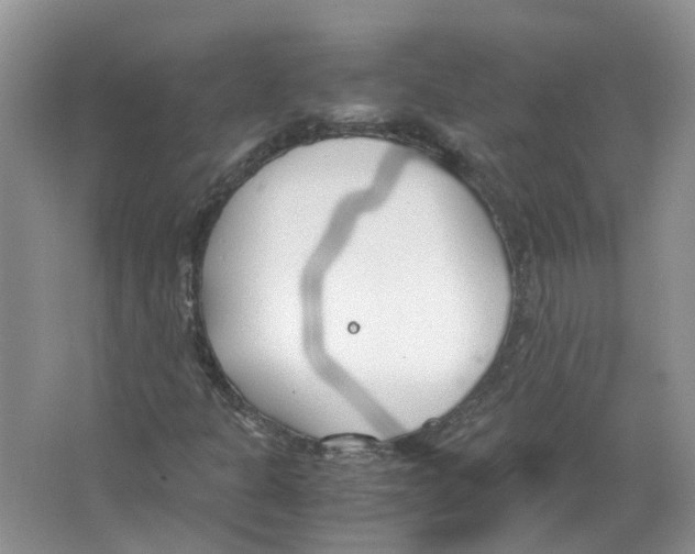 X0000063521301200602172203