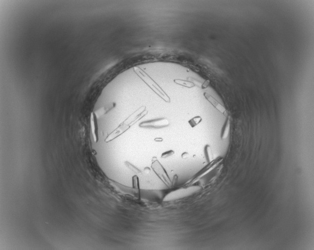 X0000063521302200602172203