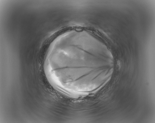 X0000063521303200602172203