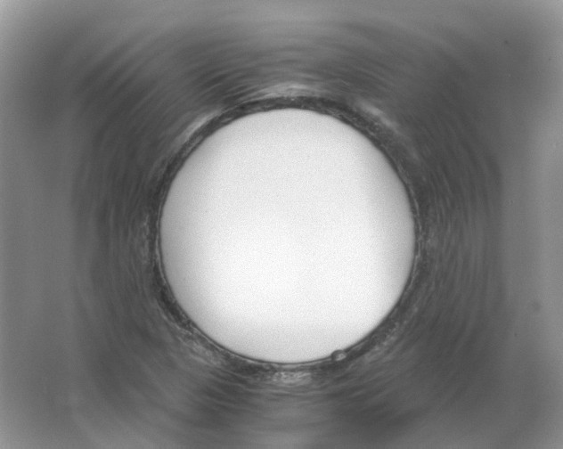 X0000063521313200602172203