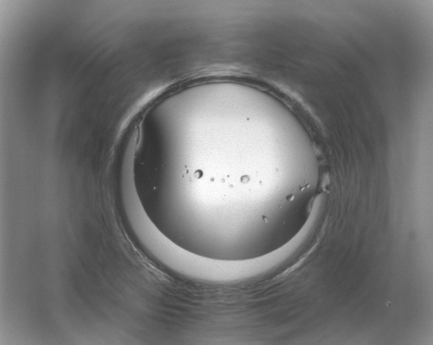 X0000063521317200602172203