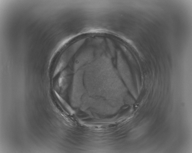 X0000063521319200602172203