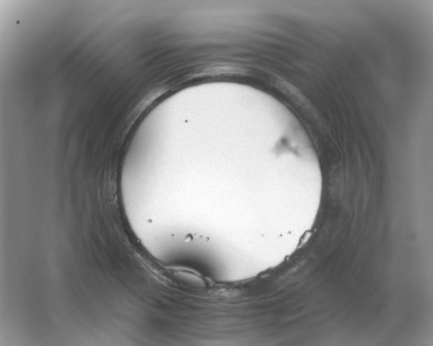 X0000063521321200602172203