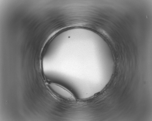 X0000063521324200602172203