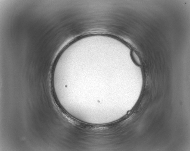 X0000063521325200602172203