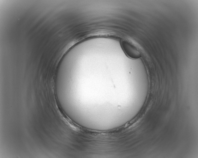 X0000063521329200602172203