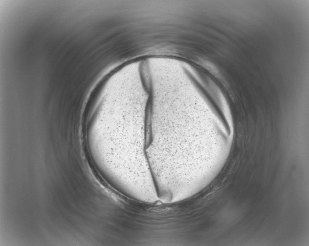 X0000063521331200602172203