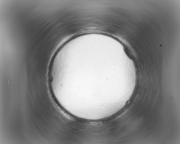 X0000063521333200602172203