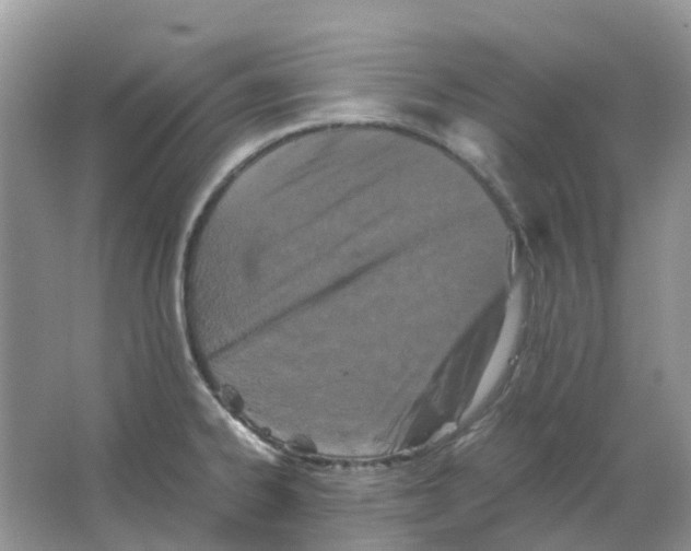 X0000063521334200602172203