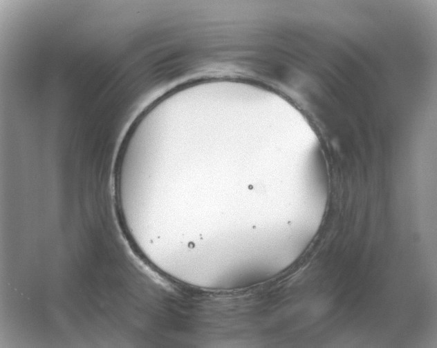 X0000063521335200602172203