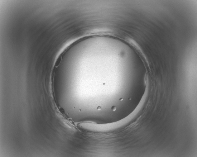 X0000063521336200602172203