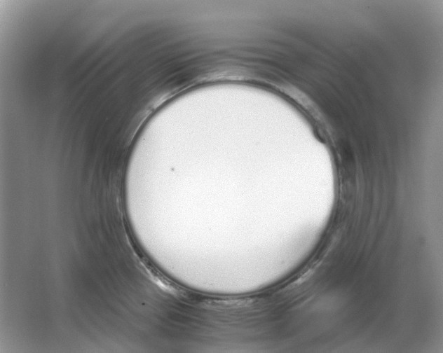 X0000063521337200602172203