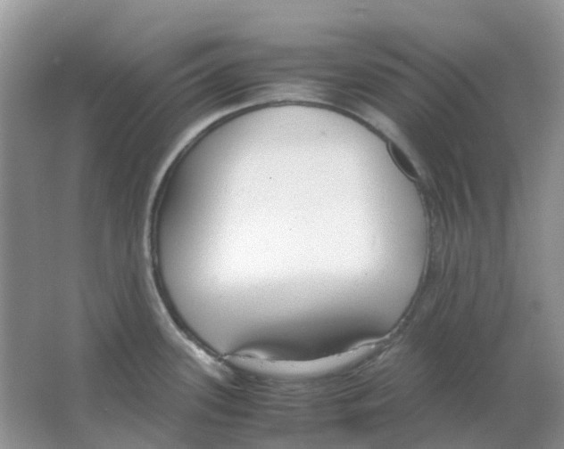 X0000063521339200602172203