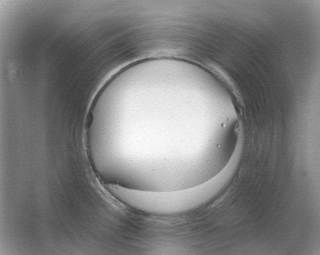 X0000063521340200602172203