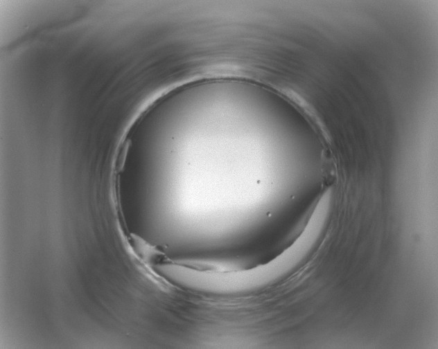 X0000063521342200602172204