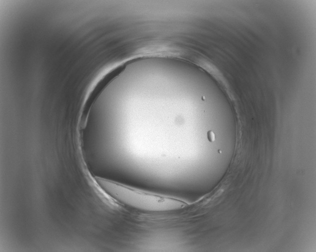 X0000063521344200602172204