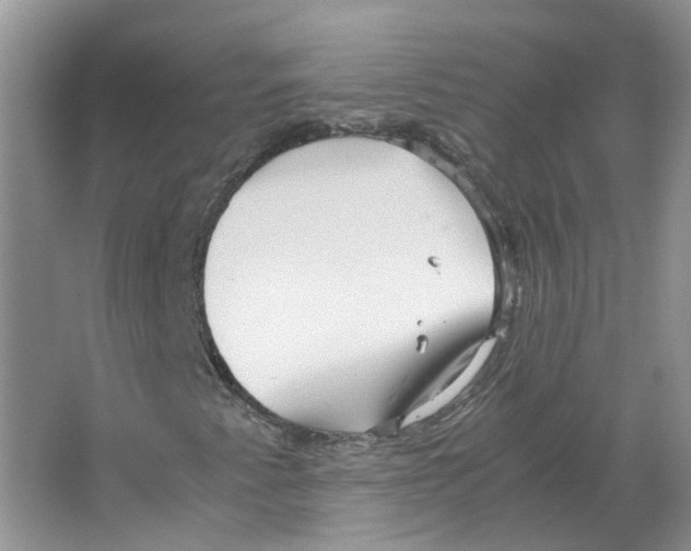 X0000063521345200602172203