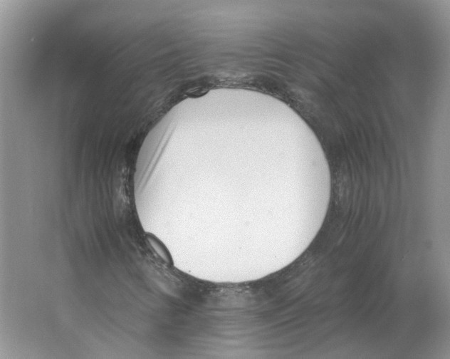 X0000063521346200602172203