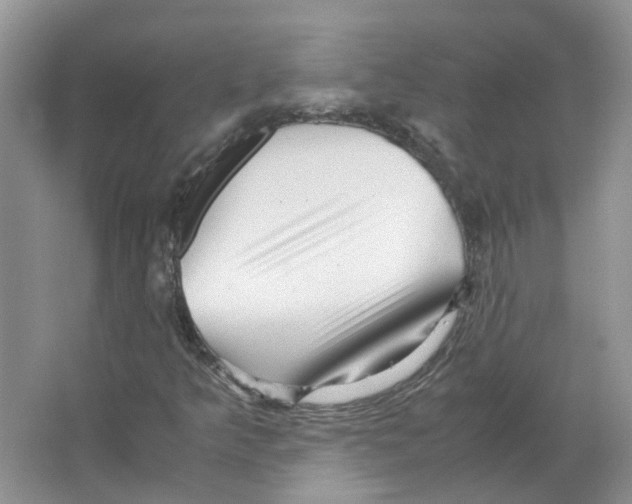 X0000063521349200602172203