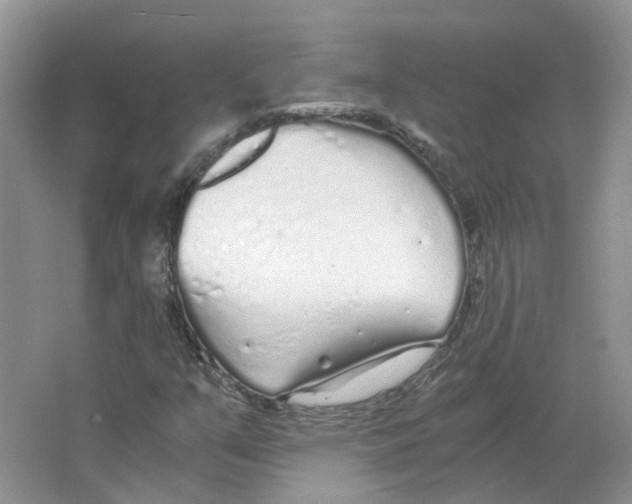 X0000063521351200602172203