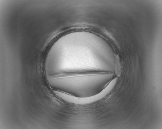 X0000063521352200602172203